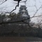 ��ī�β�����ŷ��դ�̤����� #�� #okayama  #harenokuni��