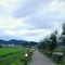 病院と散歩。