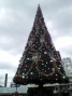 BlogPaint