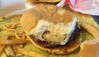 腐らず、匂わず、虫寄らず…医師がマクドナルドのチーズバーガーを2年にわたって展示