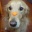 6�Фˤʤ�ޤ�����