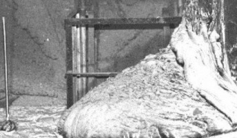 チェルノブイリ原発事故の「象の足」とかいうヤベー物体www