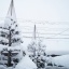 雪の朝