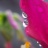 赤い雨　2/2