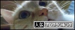 人気ブログランキングへ