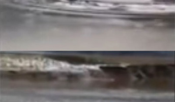 ネッシーか!?中国の池にナゾの巨大生物が現れ、人民騒然(動画あり)