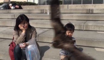 猛禽類、驚異の飛行性能と動体視力がこちらwwwwwwwww