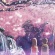 【画像有】桜はなぜ1週間しか仕事をしないのか…福岡で開花