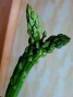 c212188e.jpg