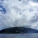 イルカがいっぱい御蔵島