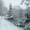 雪景色です！