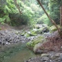 ★興津川　渓流釣果（5月９日）　鮎解禁前最後の釣行？★
