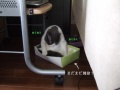 ��äѤ�Ȣ�����˰���ޤ�����