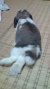720d649f.jpg