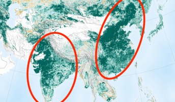 【朗報】NASA「インドと中国が植林しているおかげで地球の緑が増加しました」