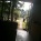 ��VADE MECVM showroom#2 ��