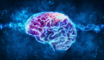 「生きた脳」の永久保存で人類は不死を手に入れるのか