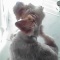 sunbathe���¤�BOW����