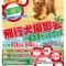 12月23-24日 「長久手ドッグウィズ」飛行犬撮影会