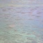 水中撮影