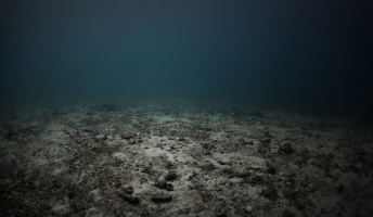 深海や水族館などに対する恐怖心、これ分かる奴いる?