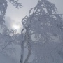 ウィスラーナイト in NISEKO