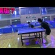 【卓球】謎めいた必殺YGサーブ！東勇渡選手（エリアカ出身）