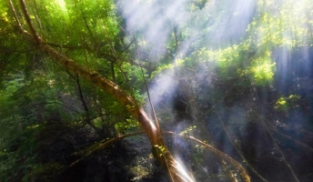 ワイルドな漢になりたくて、カメ五郎さんとヒル食いに山行ってきたバカだけど【後編】