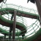 jungle。