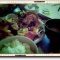 Chimney������Į���Բ񤸤�Ǥ��ʤ����ߤ˰Ϥޤ줿�������ָ���θ����ե���