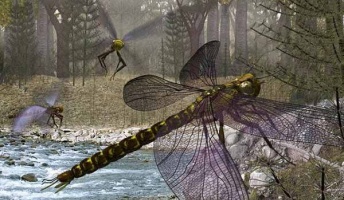 昆虫の起源、4億8000万年前と判明 従来より以前…13ヶ国チーム研究