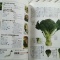 野菜辞典