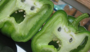 彡(゚)(゚)「食べないで、食べないでクレメンス」
