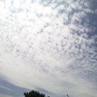 ROCK IN JAPAN FES.2009♪7/31〜8/2