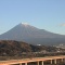 あらためて事件の街・堺