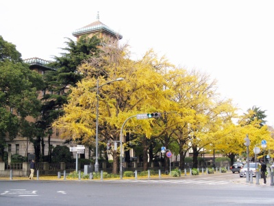 2011県庁前(2)