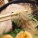 �Ȥäԡ��顼������������֤ޤ������顼����