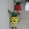 我が家にも・・・