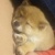 わんわんわわん