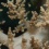 １２月６日発トリップ