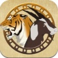 Tiger and Goat - ネパールで人気の戦略ボードゲーム（230円）