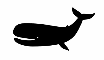 5000万年前のクジラの姿がこちらwwwwwwwwwww