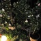 夜の庭／オジサン救済
