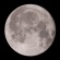 月齢15.5 3日ぶりに顔を出した今夜は満月