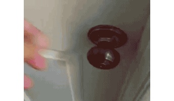 この動物GIFで癒やされたら寝ろwwwww(タップ無しで見れます)