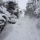 はじめての雪山「北八ヶ岳 北横岳」