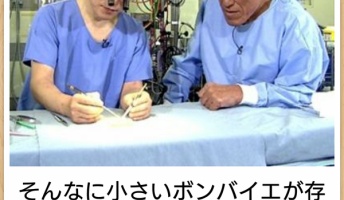 4年ぶりに開いたワイのボケてお気に入りフォルダを公開するで