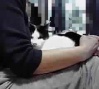 BlogPaint