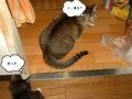 BlogPaint