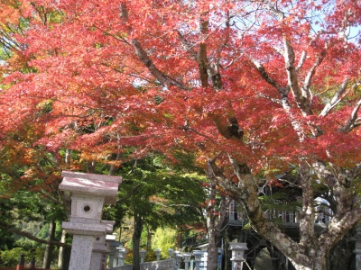 2011阿夫利神社(4)
